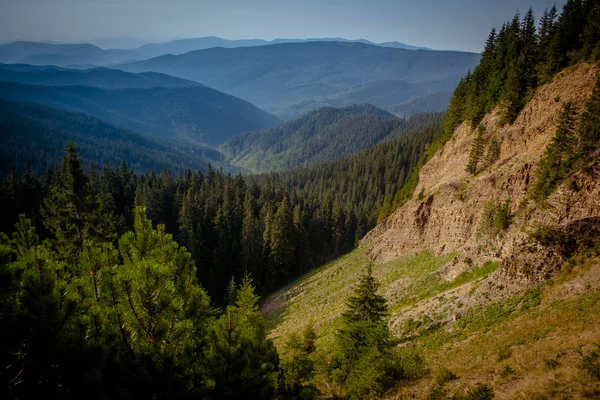 Kanyon Karpat Dağları'nda bir 