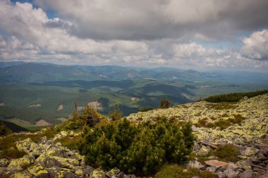 Güzel dağlar ve Karpatlar mavi gökyüzünde. Ukrayna