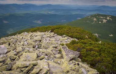 Güzel dağlar ve Karpatlar mavi gökyüzünde. Ukrayna