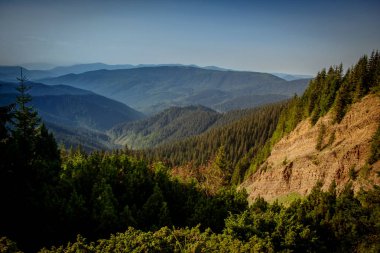 Kanyon Karpat Dağları'nda bir 
