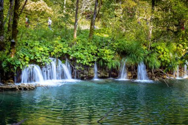 Plitvice Gölleri Milli Parkı'nda güzel şelale. Hırvatistan