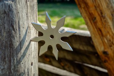 Shuriken (fırlatma yıldızı), geleneksel Japon Ninja soğuk silahı ahşap arka planda sıkışmış