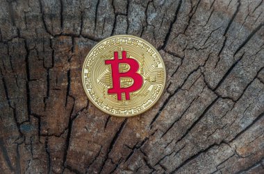 Bitcoin monet. yeni para birimi cinsinden modern iş dünya kavramı bir ahşap doku.