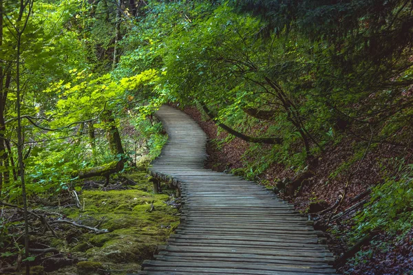 Smuk Udsigt Plitvice Lakes National Park Kroatien - Stock-foto