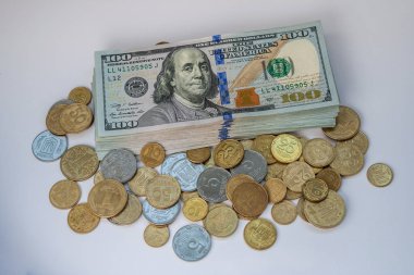 Bize banknot dolar ve Ukraynalı hryvnia sikkeleri