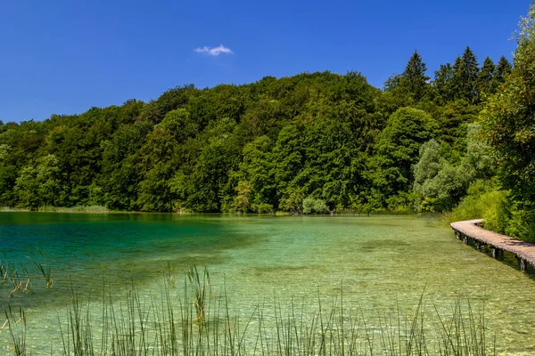 Bela Vista Parque Nacional Dos Lagos Plitvice Croácia — Fotografia de Stock