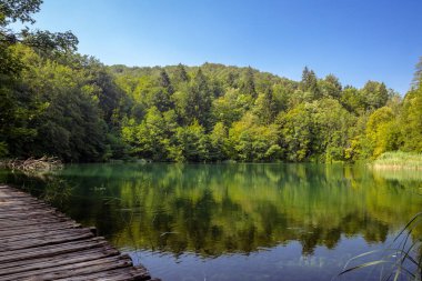 Plitvice Lakes Ulusal Parkı 'nın güzel manzarası. Hırvatistan.