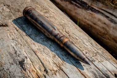 Ahşap arka plan üzerinde bir kurşunla mücadele yüksek kalibreli kartuş.