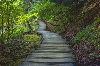 Plitvice Lakes Ulusal Parkı 'nın güzel manzarası. Hırvatistan.