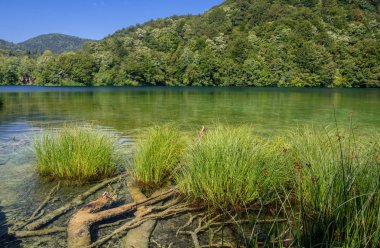 Plitvice Lakes Ulusal Parkı 'nın güzel manzarası. Hırvatistan.
