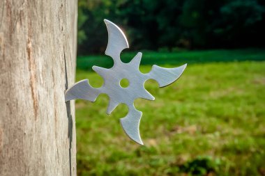 Shuriken (fırlatma yıldızı), geleneksel Japon Ninja soğuk silahı ahşap arka planda sıkışmış