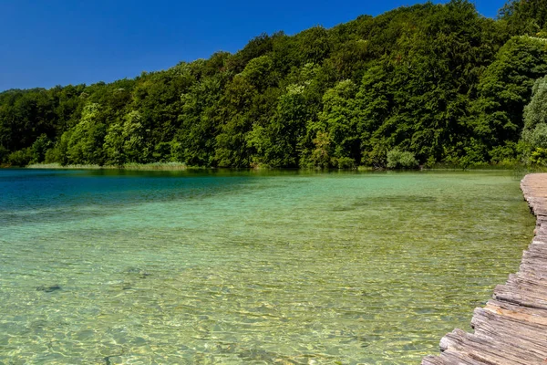 Vacker Utsikt Plitvicesjöarnas Nationalpark Kroatien — Stockfoto