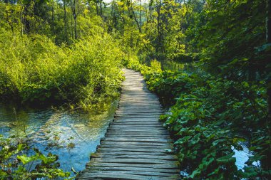 Plitvice Lakes Ulusal Parkı 'nın güzel manzarası. Hırvatistan.
