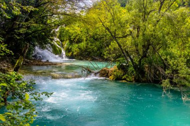 Plitvice Lakes Ulusal Parkı 'nın güzel manzarası. Hırvatistan.
