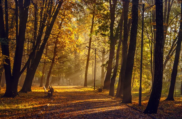 Şehir Parkı sonbaharda. Khmelnitsky şehir.
