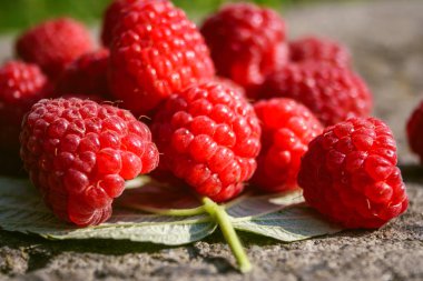 Taze olgun Ahududu (Rubus idaeus meyve), üstten görünüm.