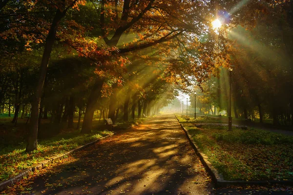 Şehir Parkı sonbaharda. Khmelnitsky şehir.