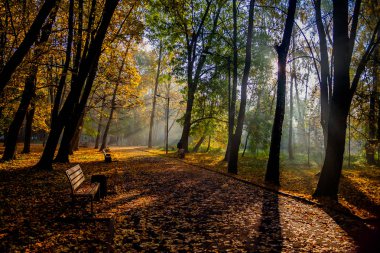Şehir Parkı sonbaharda. Khmelnitsky şehir.