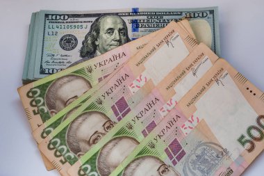 Bize banknot dolar ve Ukraynalı hryvnia