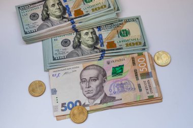 Bize banknot dolar ve Ukraynalı hryvnia
