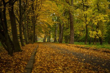 Şehir Parkı sonbaharda. Khmelnitsky şehir.