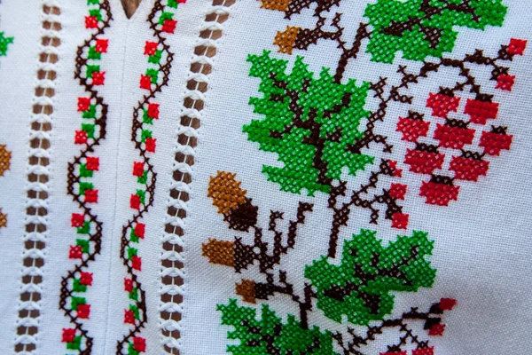 Roupas Tradicionais Ucranianas Desfile Vyshyvanok — Fotografia de Stock