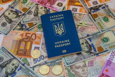 Ukrayna pasaportu ve banknot