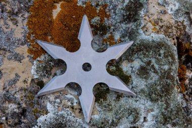 Shuriken (fırlatma yıldızı), geleneksel Japon Ninja soğuk silahı ahşap arka planda sıkışmış