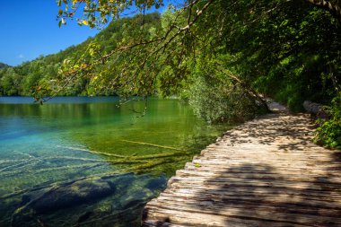 Plitvice Lakes Ulusal Parkı 'nın güzel manzarası. Hırvatistan