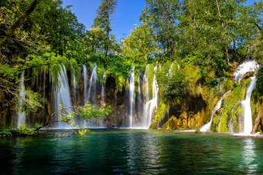 Plitvice Gölleri Milli Parkı'nda güzel şelale. Hırvatistan