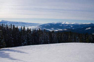 Bukovel bir güneşli kış günü. Ukrayna Karpatlar.
