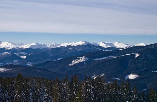 Bukovel bir güneşli kış günü. Ukrayna Karpatlar.