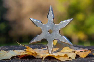 Shuriken (fırlatma yıldızı), geleneksel Japon Ninja soğuk silahı ahşap arka planda sıkışmış