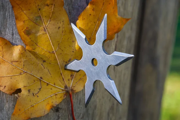 Shuriken (throwing star), traditional japanese ninja cold weapon stuck in wooden background