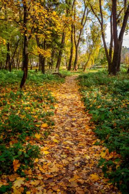 Şehir Parkı sonbaharda. Khmelnitsky şehir.