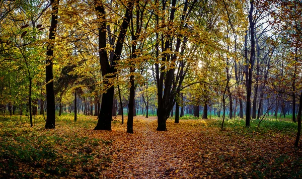 Jesień Parku Miejskim Miasta Chmielnicki — Zdjęcie stockowe