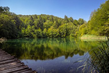 Plitvice Lakes Ulusal Parkı 'nın güzel manzarası. Hırvatistan.