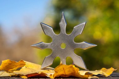 Shuriken (fırlatma yıldızı), geleneksel Japon Ninja soğuk silahı ahşap arka planda sıkışmış