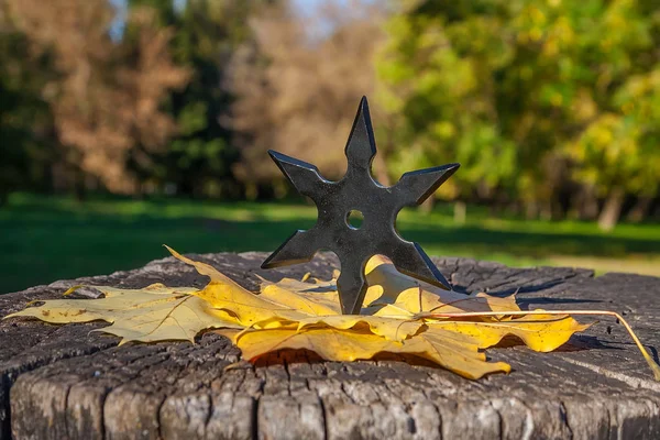 Shuriken (throwing star), traditional japanese ninja cold weapon stuck in wooden background