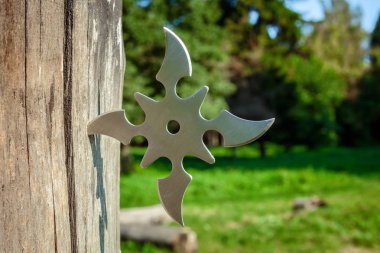 Shuriken (fırlatma yıldızı), geleneksel Japon Ninja soğuk silahı ahşap arka planda sıkışmış