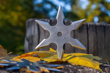 Shuriken (fırlatma yıldızı), geleneksel Japon Ninja soğuk silahı ahşap arka planda sıkışmış