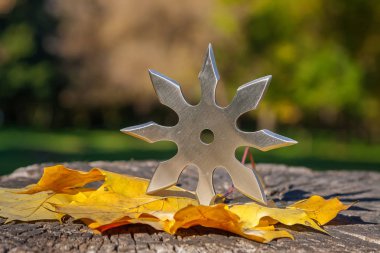 Shuriken (fırlatma yıldızı), geleneksel Japon Ninja soğuk silahı ahşap arka planda sıkışmış