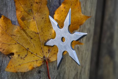 Shuriken (fırlatma yıldızı), geleneksel Japon Ninja soğuk silahı ahşap arka planda sıkışmış