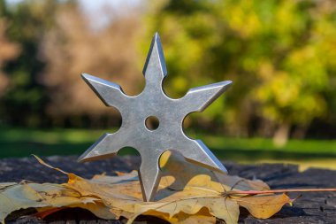 Shuriken (fırlatma yıldızı), geleneksel Japon Ninja soğuk silahı ahşap arka planda sıkışmış