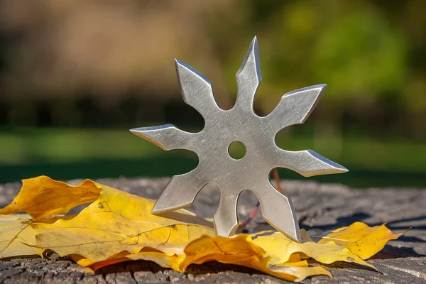 Shuriken (fırlatma yıldızı), geleneksel Japon Ninja soğuk silahı ahşap arka planda sıkışmış