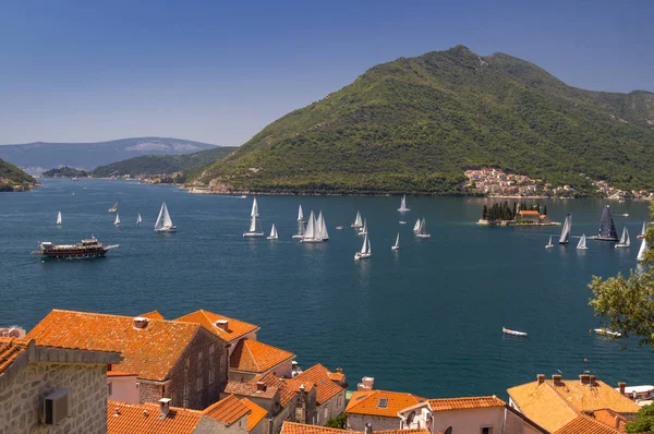 Soleado Paisaje Mediterráneo Montenegro Bahía Kotor — Foto de Stock