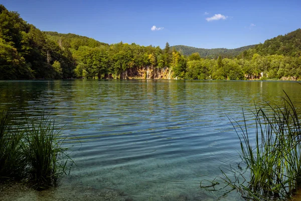 Мбаппе в национальном парке Плитвицкие озера. Хорватия — стоковое фото