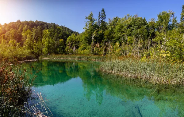 Plitvice湖国家公园美丽的风景。克罗地亚 — 图库照片
