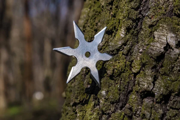 Shuriken (foute ster), traditionele Japanse ninja koude wapen — Stockfoto