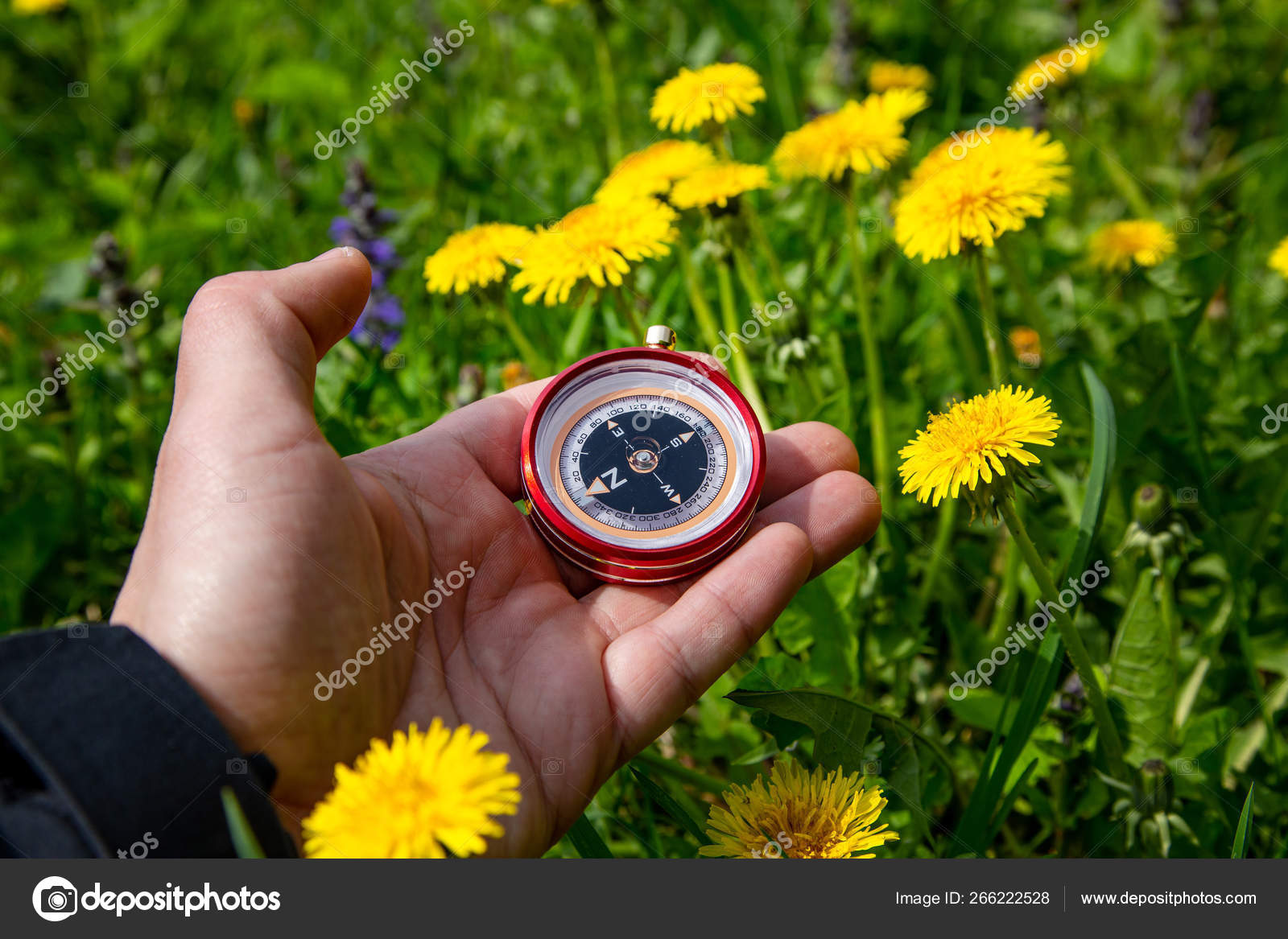 Туристический Компас В Руке На Открытом Воздухе В Лесу. — Стоковое.